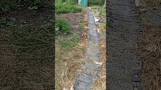 апогей моей трудоспособности смотреть онлайн