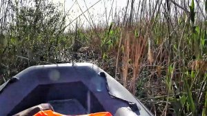 ЗАБРАЛСЯ В РЕАЛЬНУЮ ДИЧЬ!!! НЕ ОЖИДАЛ ТАКОГО РАЗМЕРА РЫБИН! Рыбалка на спиннинг порадовала.