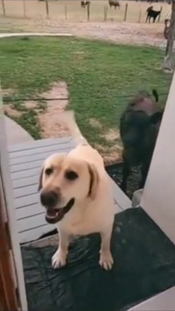 Я с другом смотреть онлайн