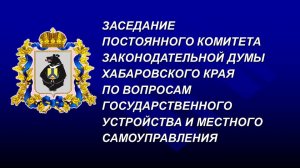 Заседание постоянного комитета Думы по вопросам государственного устройства и МСУ 10.07.2025
