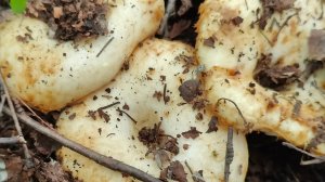 Не сидится дома 🥴// глазам своим неповерила 🫩🤷//