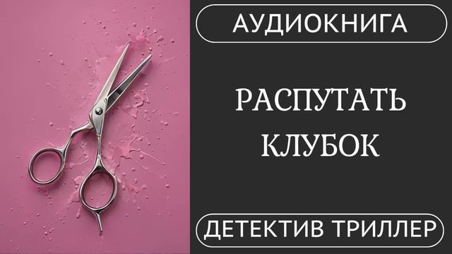 АУДИОКНИГА: Распутать клубок: Внутри благополучной семьи  детектив триллер   КНИГА 1