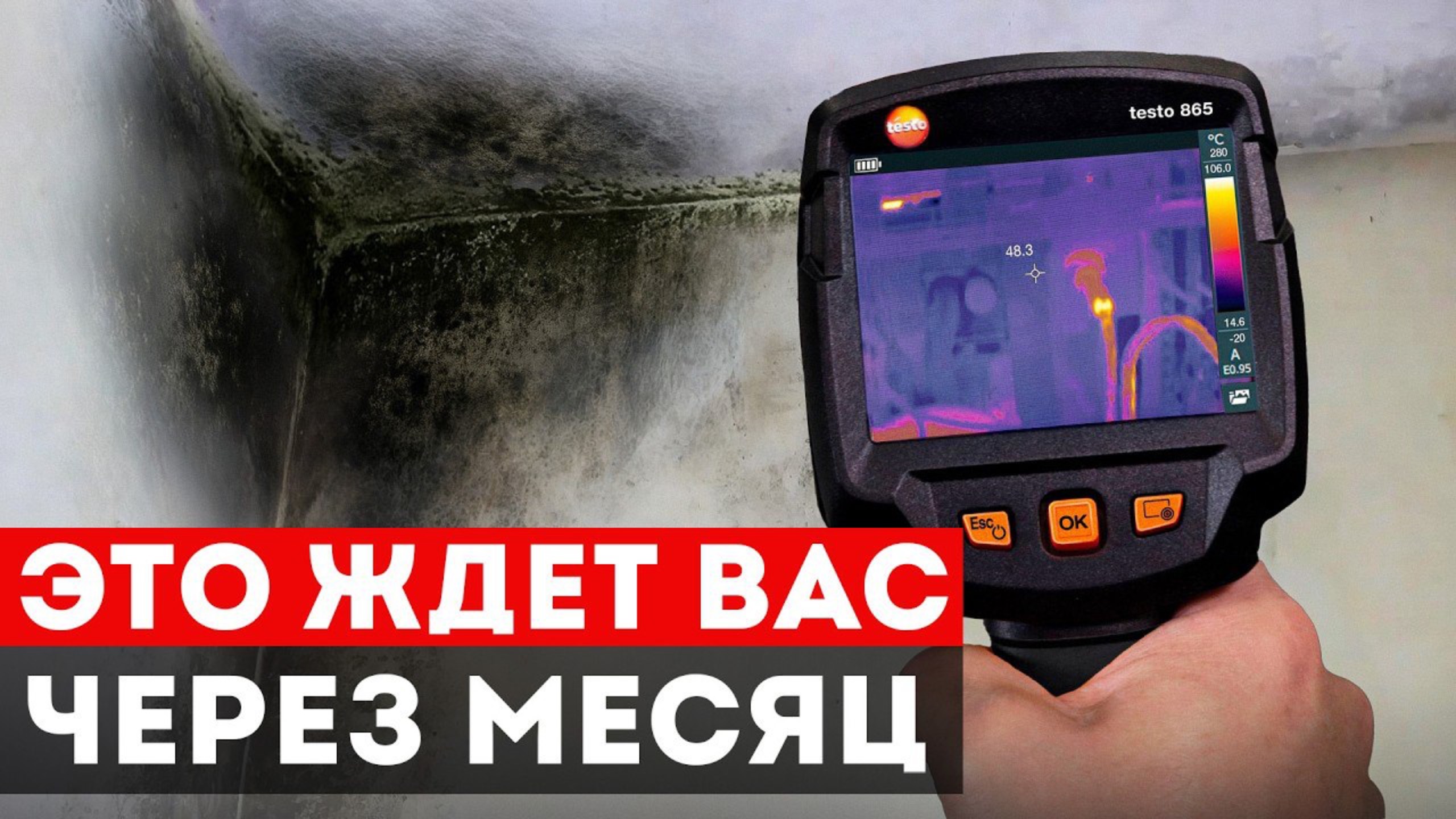 Избегай 5 ошибок или твой новый дом быстро сожрет плесень! смотреть онлайн