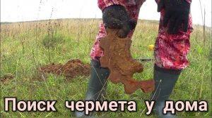 Осенний металлокоп рядом с домом,тренировка перед поездкой на коп в карьер