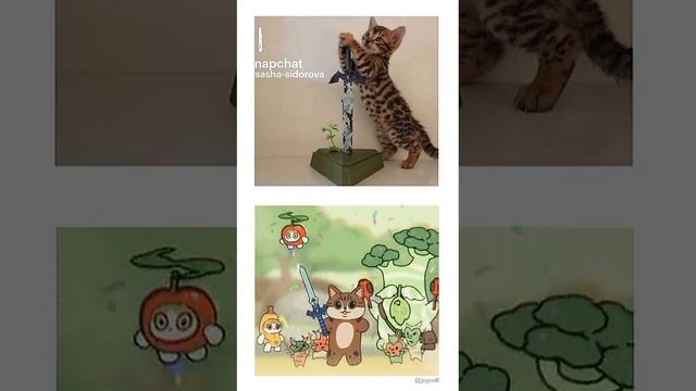 Чисто мои одноклассники ☺️🤣 смотреть онлайн