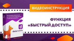 DataMobile. Функция «Быстрый доступ»