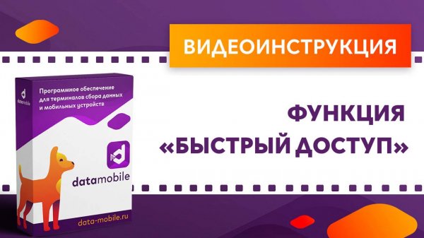 DataMobile. Функция «Быстрый доступ»