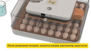 Как пользоваться инкубатором HHD 56H