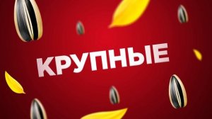 Семечки «Белочка « 2020