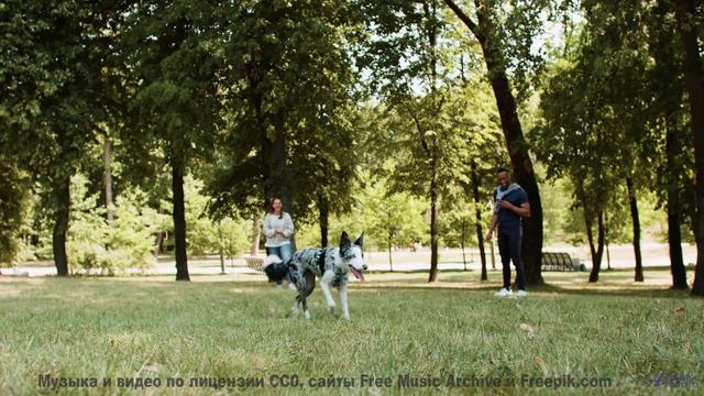 Ты услышишь, как поют камни, трава и небо - просто включи - Horsey -- Overhill Ln -- OPULENT