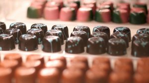 День шоколада. Утро Губернии