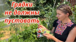 Что посеять в июле на освобождающиеся грядки