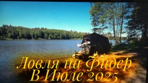 Только Закормился и Сразу Пошёл Клёв! Почему Рыба не Хочет мотыля?Зачётная Рыбалка на Фидер!