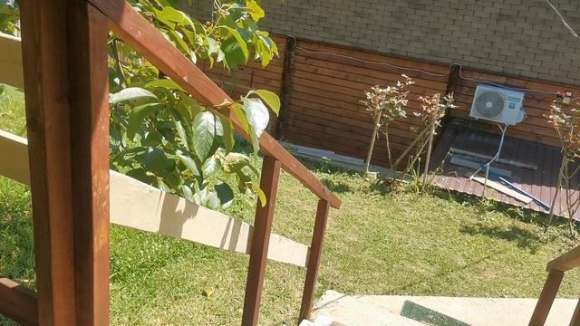 СОЧИ ГОРНОЕ ЛОО 10.07.2025 смотреть онлайн