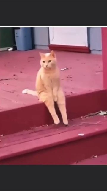 Где шлялся смотреть онлайн