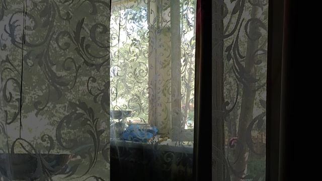 ЖАРА ЗА ОКНОМ +35 ГР ЗАВТРАК НА КОЛЕНКЕ смотреть онлайн