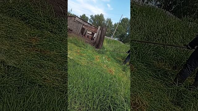 Навоз свежий на вентилятор не бросали? смотреть онлайн