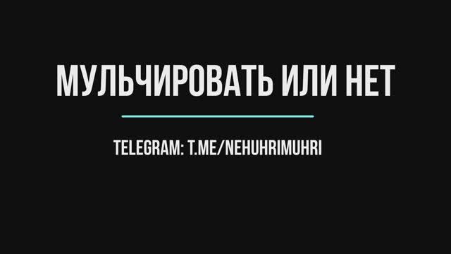 Мульчировать или нет смотреть онлайн