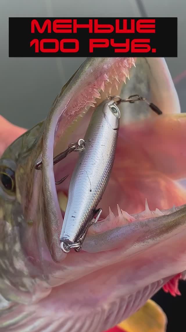 🔥 ЛОВЛЮ РЫБУ ЗА КОПЕЙКИ! Дешевые приманки, которые РАБОТАЮТ! #shorts #бюджетнаярыбалка #aliexpress смотреть онлайн