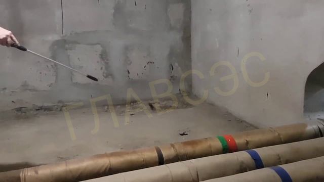 уничтожение блох