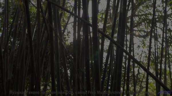 Линии полей и лесов соединяются в одном ритме - Wild-Rivers -- Ketsa -- The Lost Files