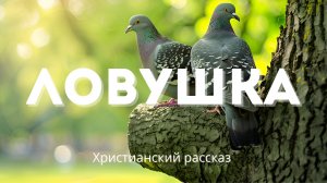 Ловушка | Духовно глубокий христианский рассказ