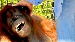 ПЕРВАЯ РЕАКЦИЯ Даны на Олега Зубкова после пережитого!Ребята из «Здорового отечества» приехали