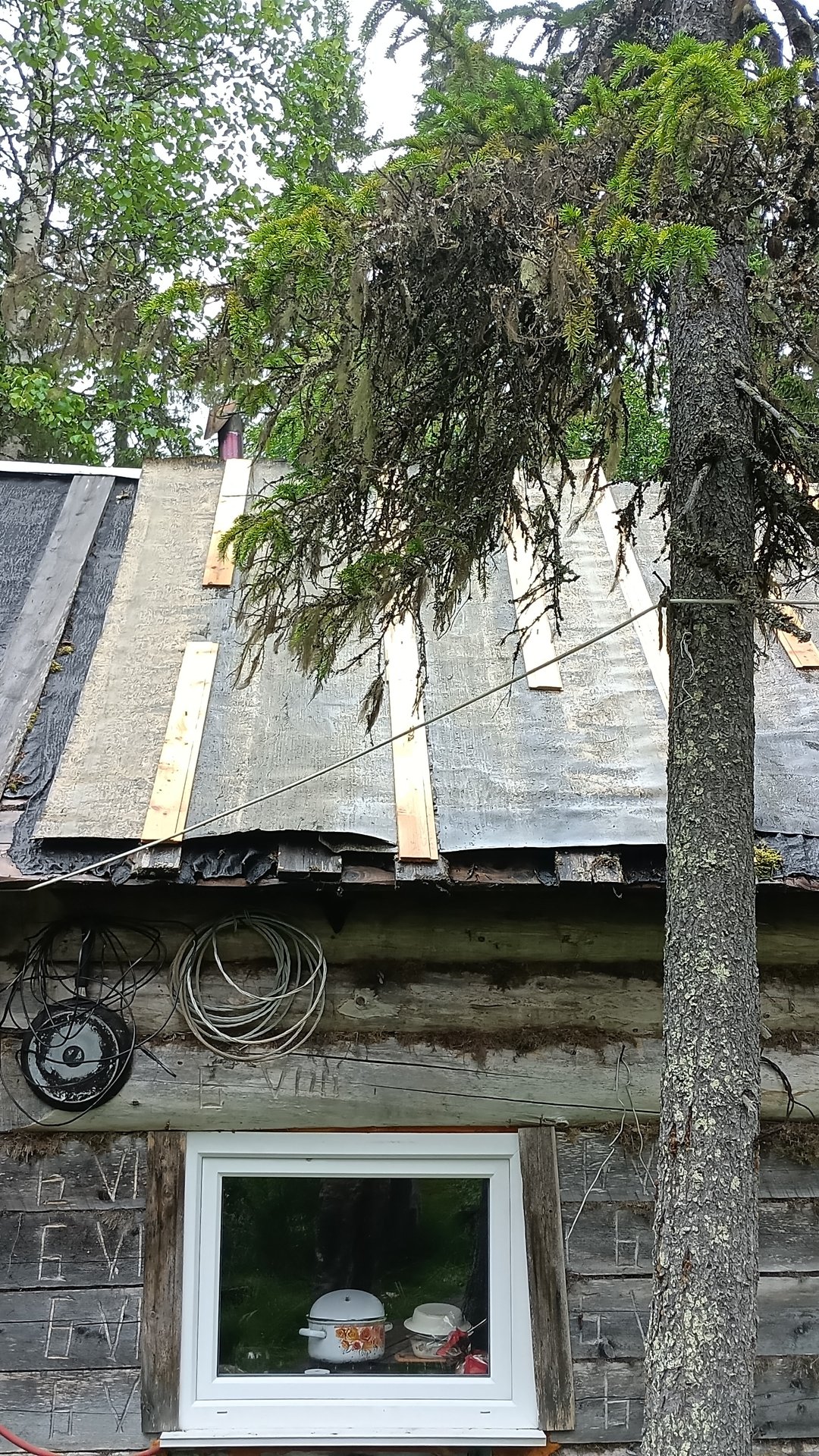 в Тайгу с детьми за грибами.