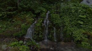 Перед сном наполни сердце уверенностью в Божьей заботе.  Молитва Перед Сном.