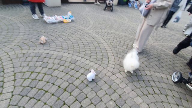 Сочи. Набережная. смотреть онлайн