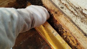 Семья трутовка просто и эффективно.