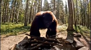 Bigfoot Doni Vlog1 — Утро в лесу, кофе и грибы 🍄☕