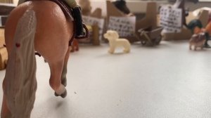 День Мелиссы