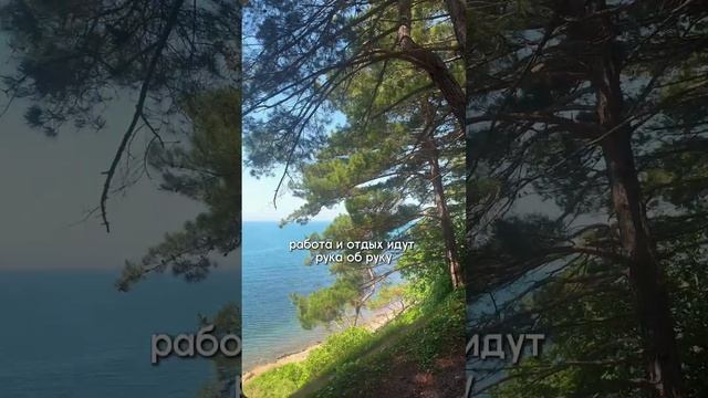 Сочи сейчас! 

Мы отправились в наш трип, чтобы показать вам много интересного