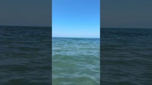 Море пляж Шеквитили Грузия