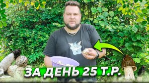 КАК ЗАРАБОТАТЬ НА ГРИБАХ?🍄