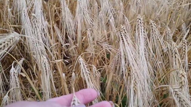 А мы едем в гости к родным.А после я в салон красоты! смотреть онлайн