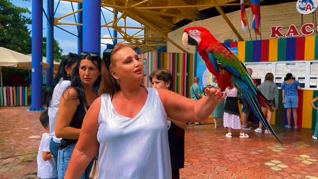 Адлер_Попугай ара Алла 🦜 смотреть онлайн