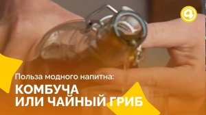 Польза чайного гриба, о которой забыли