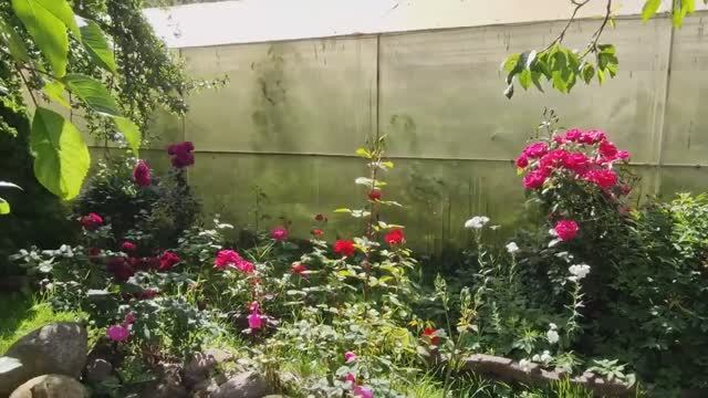 Переделываем водопровод и канализацию. Монтирую капельный полив своими руками. Бисквит в мультиварке смотреть онлайн