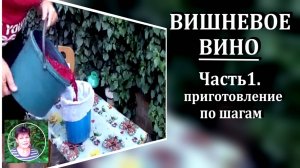Как сделать вишневое вино рецепт приготовления