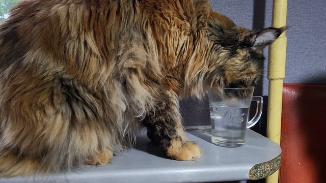 Когда жажда Это всё 😀 смотреть онлайн