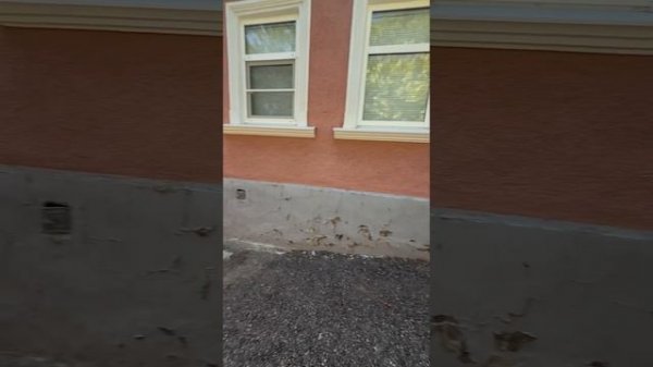 Продажа участка Мира 116