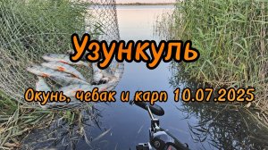 Узункуль. Ловля окуня, чебака и карпа