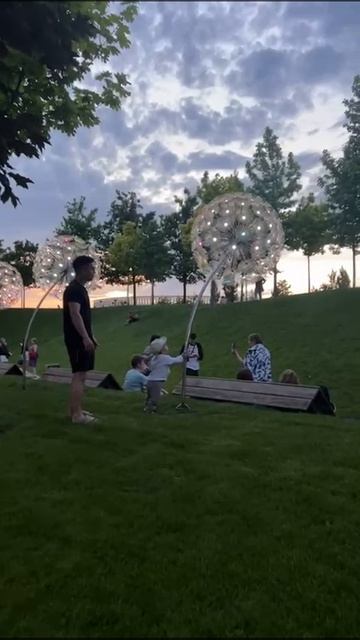 VID-20250601-WA0000 смотреть онлайн