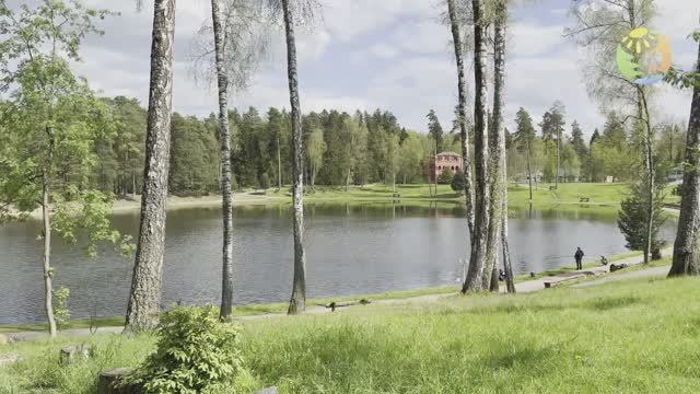 Детский языковой тур 