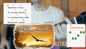 Наутилус - Одинокая птица. Аккорды и разбор на гитаре