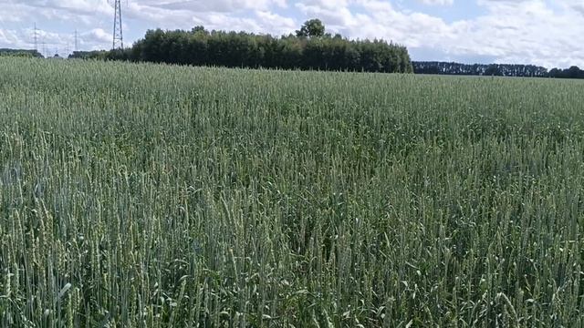 Акатуй - 2025 смотреть онлайн