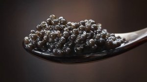 Севрюга. Что за рыба и с чем ее едят? #рыба #пруд #севрюга #осетр