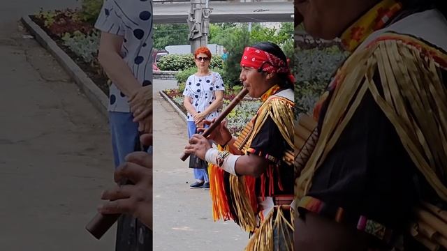 Пути к радости Pathways to Joy. Yarik- Ecuador. Владивосток,,июль 2025 . смотреть онлайн